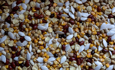 Seeds beans peas corn scattered on the surface
