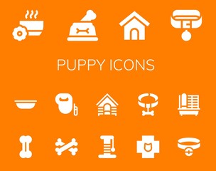 Modern Simple Set of puppy Vector filled Icons