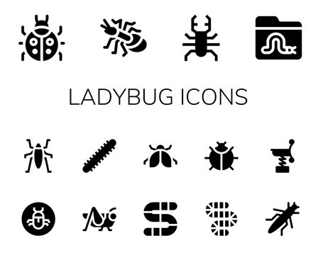 ladybug icon set
