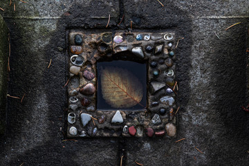 leaf in the sidewalk after rain