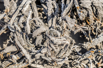 Garbage dump of old tires. Rubber recycling.