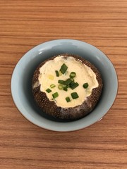 sea urchin with egg