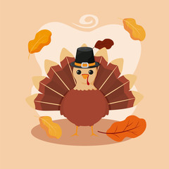 Turkey of autumn season vector design