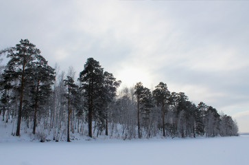 Winter landscape on the lake, the forest along the coast goes into the distance. Silhouettes of winter trees, snow around in a white haze. The beauty and silence of winter. Russia, the Urals.