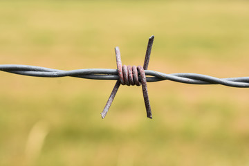 Isolated sharp metal barbed wire 