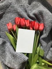 Mockup white greeting card and tulip on a grey sweater