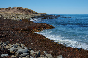 Fototapeta na wymiar Cliffs along the coast of Sea Lion Island in the Falkland Islands. 
