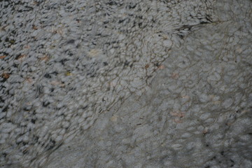 abstract background of foam on the river