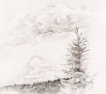 Sketch of spruce at mountains background