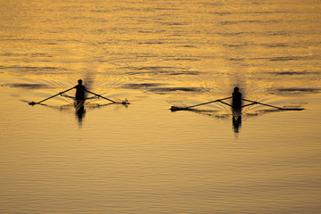  Title: Scullers glide through the calm golden waters at sunrise Boston © FrankShirley