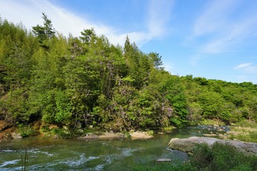 藤の山と川の流れ