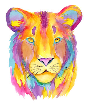 Watercolor colorful lioness portrait isolated on white background. Hand painted animals illustration. Print for t-shirt or posters.