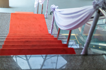 Long red carpet between rope barriers on entrance. Red Carpet and Barrier rope. 