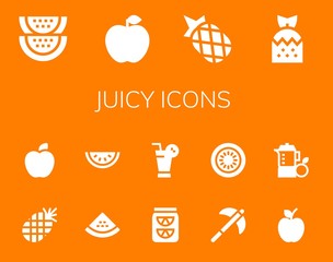 Modern Simple Set of juicy Vector filled Icons