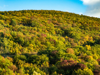 Obraz premium Autumn, sky and mountains