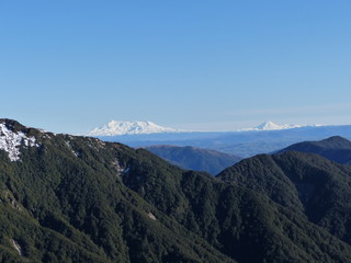 Mountain view, with 2 volcano covered in snow in the background in new zealand