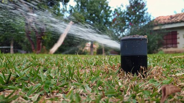 automatic irrigation water sprinkler of the lawn