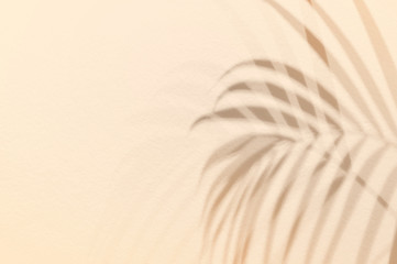 Light and shadow green leaves,palm leaf on sand color grunge wall concrete background.Silhouette...