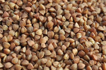 Background of dried buckwheat.
