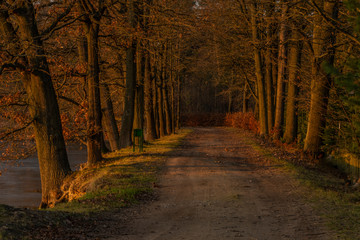 Path near Rouda and Olesnicky novy pond in sunset time in winter evening