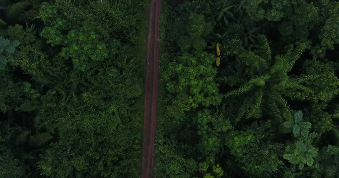 Dirt Road Surrounded by Lots of Vegetation, Trees, Small Houses on the Shore of a Brown River in Pando, Bolivia