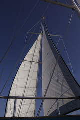 Sail white yachts in the sea against the blue sky