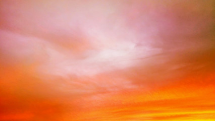 Image From The Colorboard Cloud Based Background Set