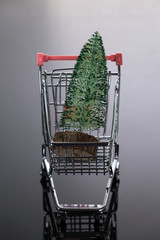 Christmas Tree Ornament in Cute Shopping Cart