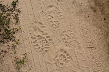 Footprints in the sand. A man walked in the sand and left footprints. A journey through nature. Adventure and recreation.