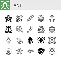 Set of ant icons