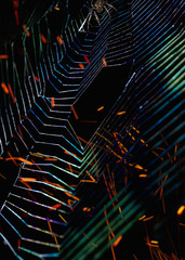 Brown spider on a web at night on dark background with orange bonfire sparks waiting for its...