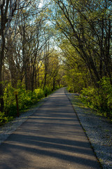 Sugar creek trail walking path late in the day