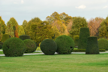 Trimmed and shaped shrubs in the Schönbrunn Palace gardens in Vienna, Austria