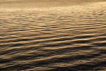 Waves in the water in sunset light