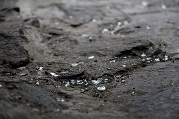 Pieces of glass on stone background