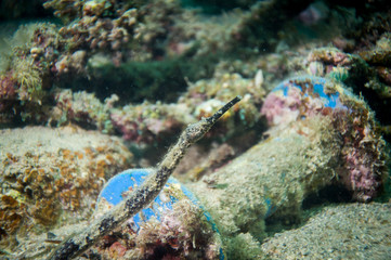 Seenadel vor einer Kabelspindel