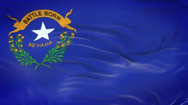 Nevada (U.S. state) flag waving in the wind with highly detailed fabric texture. Seamless loop