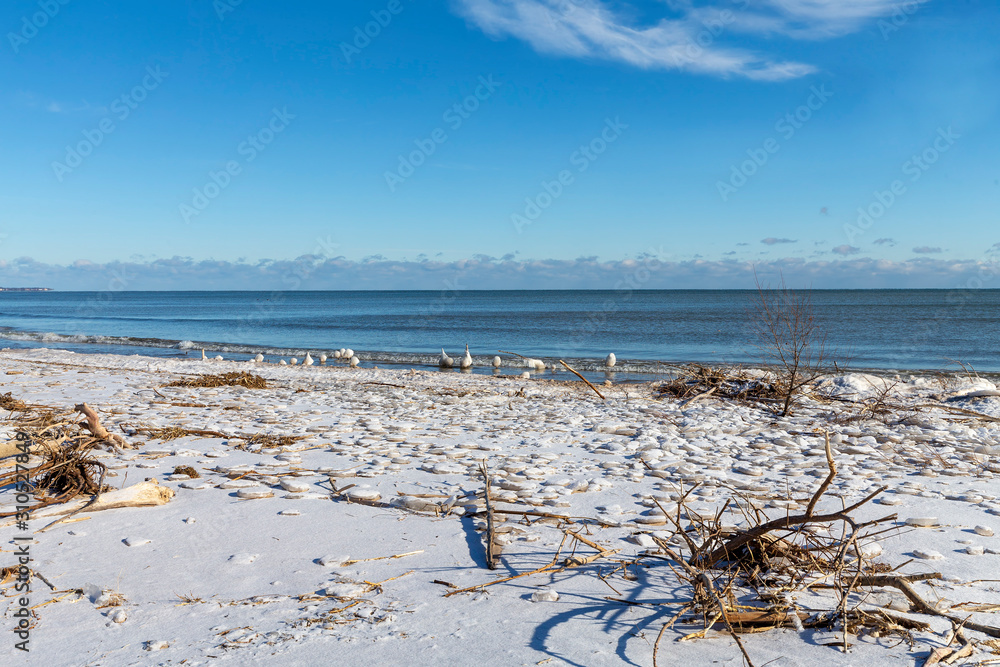 Wall mural Winter on the shore of Lake Michigan