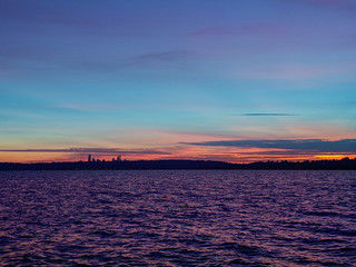 Ducks and seagulls in silhouette in front of a sunset on Lake Washington, looking out at Seattle nightlife starting up.