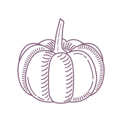 Sketch of a pumpkin