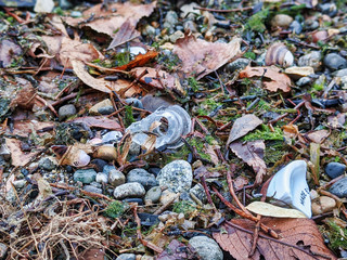 Broken plastic, glass, and ceramic trash polluting the rocky shoreline of Lake Washington.