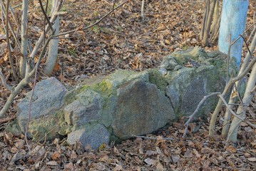 ruins of an old gray foundation of concrete and large stones in dry leaves on nature