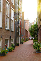 Fototapeta na wymiar View of narrow street in Amsterdam. Historical, traditional and typical buildings and many plants are in the view. It is a sunny autumn day.