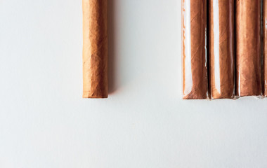 Cigars on light background.