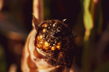 colours of mahlberg © Maciek