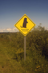 prairie dog crossing