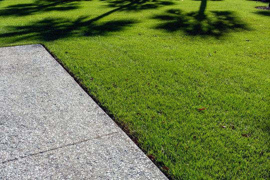 A thick carpet of zoysia grass and an oyster shell tabby pathway suggest the abstract concept of a journey, or of a beautifully maintained garden.