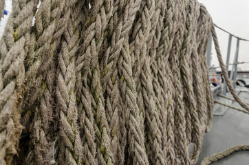Neatly hanging ship ropes on the board