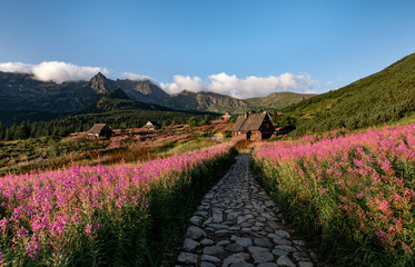 Tatra valley in summer