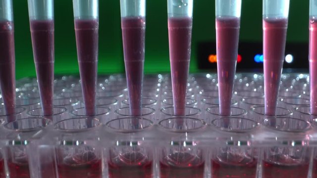 Automated DNA Processor real-time PCR cycler.  PCR robotic machine for molecular and genetic research laboratory